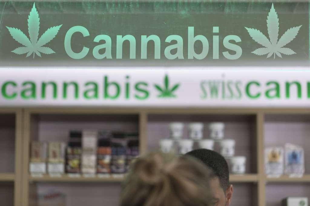 Përse Kantoni i Valisit po nxjerr në ankand 111 kilogramë hashash CBD