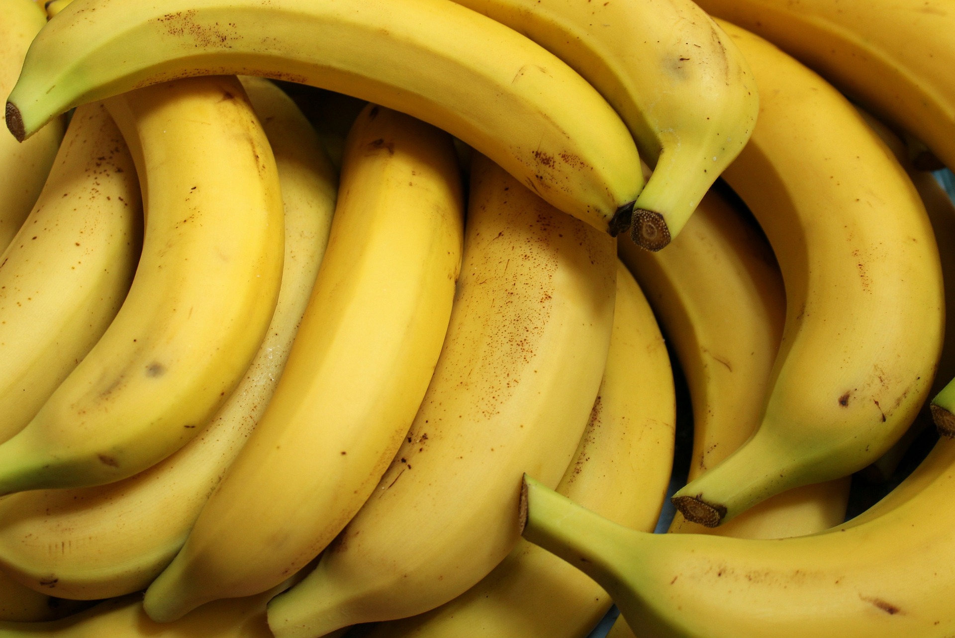 A mund t ua ndalojnë shkollat fëmijëve bananet dhe bukën e bardhë në Zvicër 