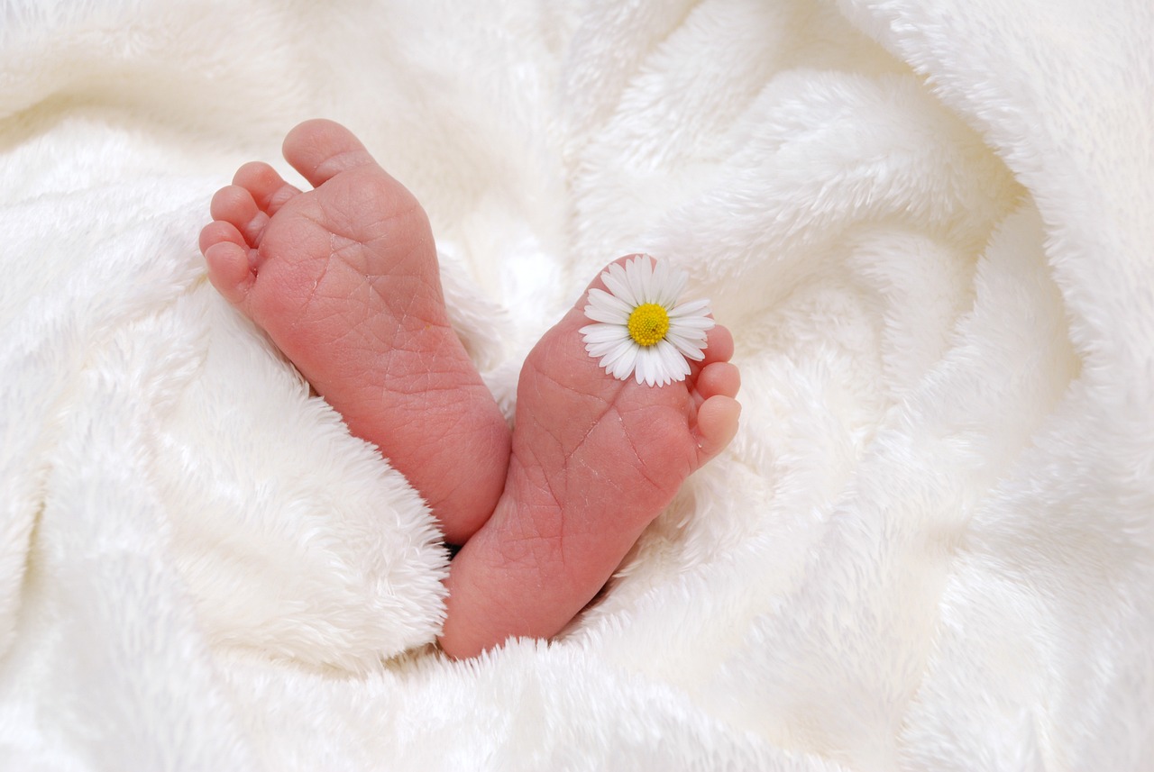 142 foshnje lindën gjatë një jave në Klinikën e Gjinekologjisë