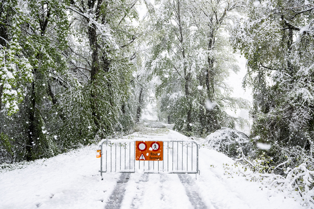 Stuhia Goretti do të godasë Zvicrën veriore  priten reshje të dendura bore në male