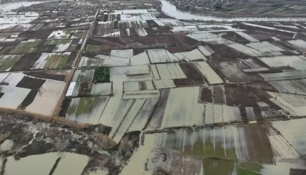 Rama premton se dëmshpërblimi për familjet e prekur nga përmbytjet është prioritet