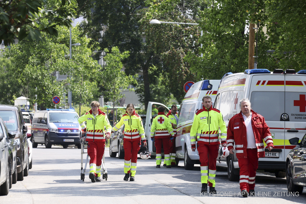 Gjermani  Vdes dyvjeçari pasi ra nga dritarja e katit të katërt të banesës