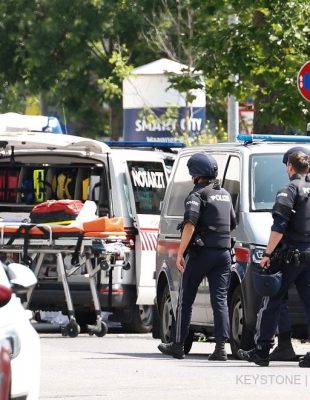 Polica austriake, policia, austri,