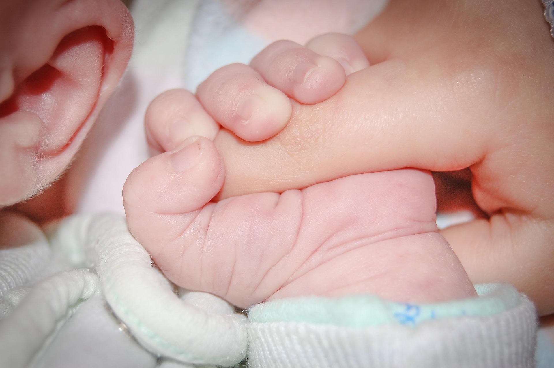 Mblidhen 110 mijë nënshkrime  peticioni zviceran kërkon gjashtë muaj leje lindjeje