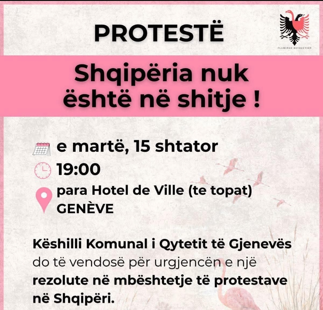 Protestë në Gjenevë në mbështetje të mobilizimeve në Shqipëri